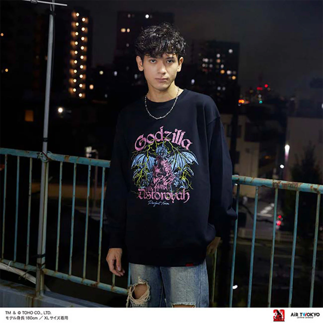 Godzilla vs. Destoroyah 30th Anniversary Scene Illustration Sweatshirt 3 (Godzilla & Destoroyah) - Image 2